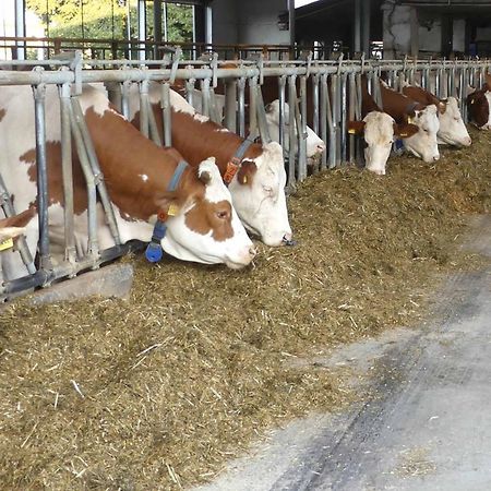 Bauernhof Nissl Villa Нойнбург форм Валд Екстериор снимка